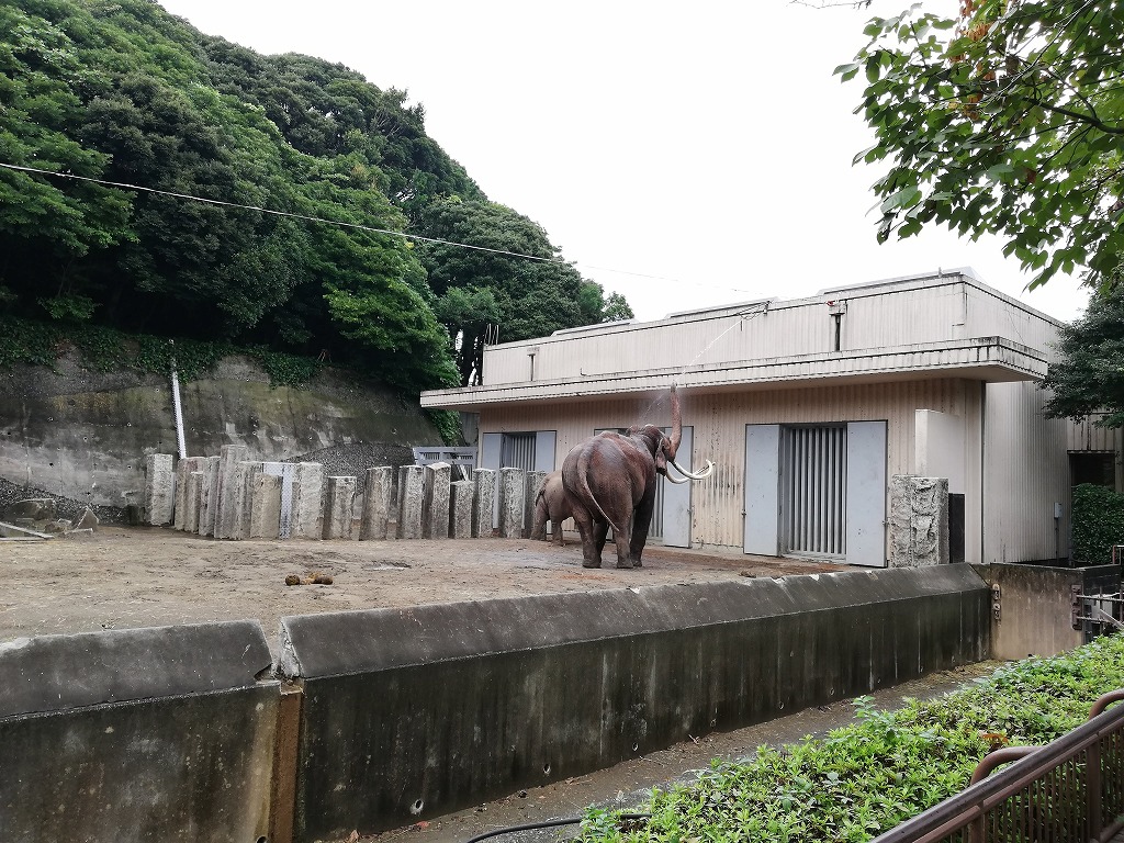 f:id:odango_kazoku:20200922164242j:plain f:id:odango_kazoku:20200922164242j:plain