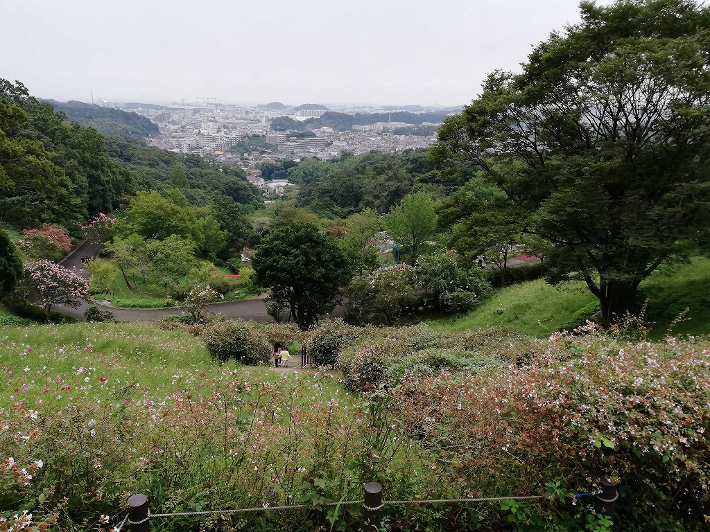 f:id:odango_kazoku:20200922164403j:plain f:id:odango_kazoku:20200922164403j:plain