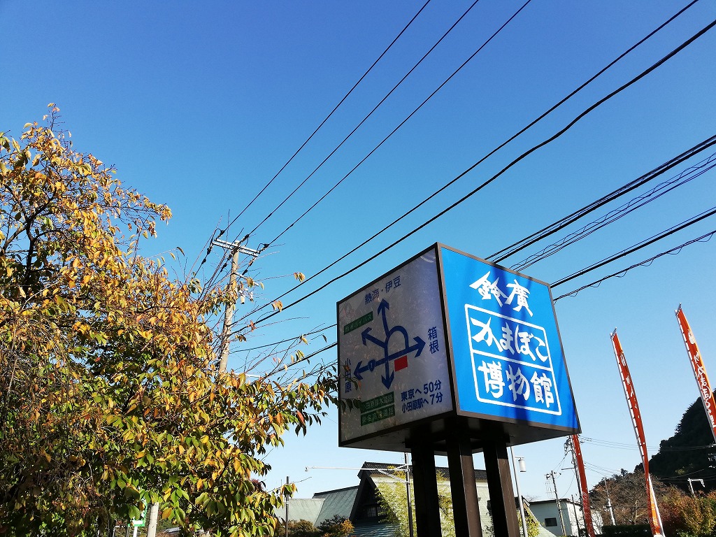f:id:odango_kazoku:20201119125427j:plain