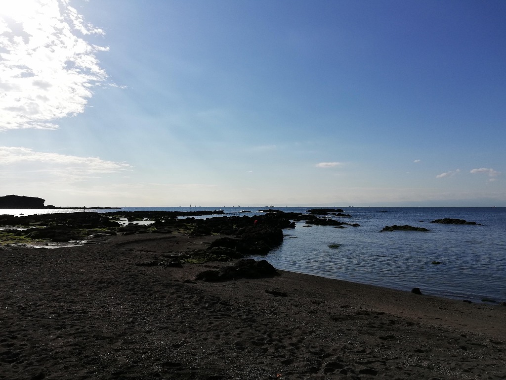 f:id:odango_kazoku:20201210194003j:plain