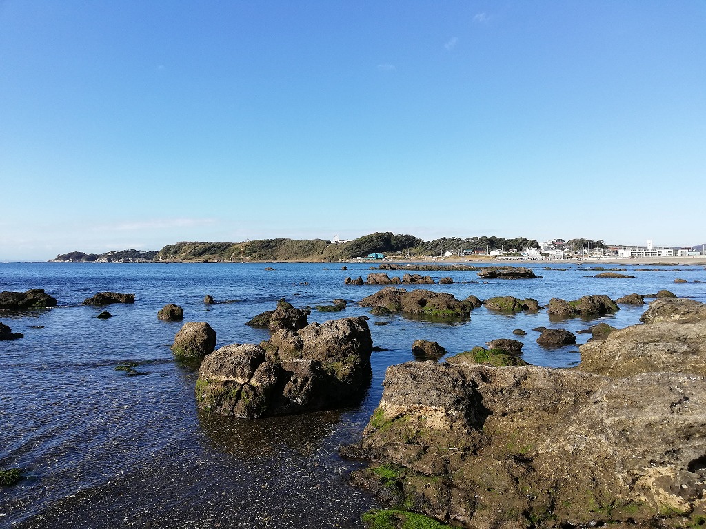 f:id:odango_kazoku:20201210194041j:plain