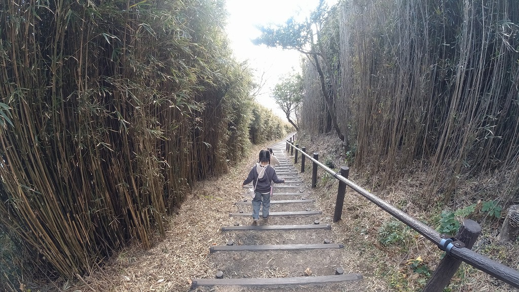 f:id:odango_kazoku:20210101052149j:plain