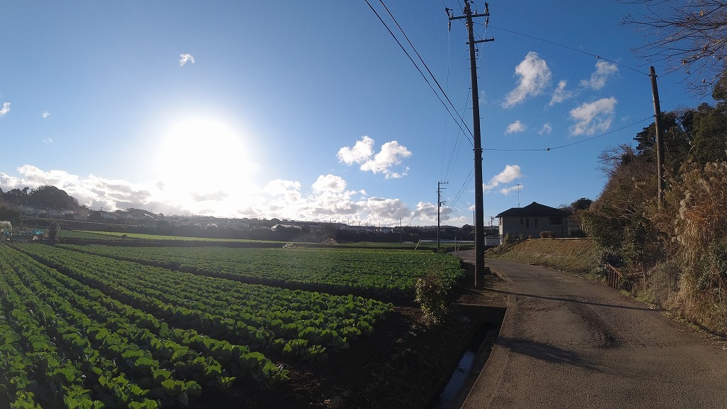 f:id:odango_kazoku:20210103064158j:plain