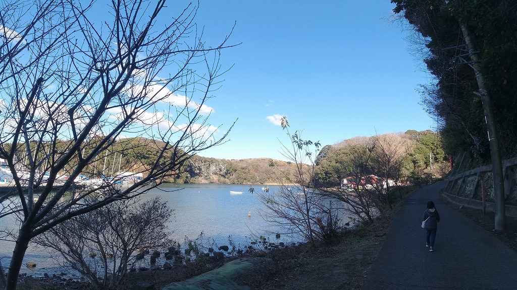 f:id:odango_kazoku:20210103064501j:plain
