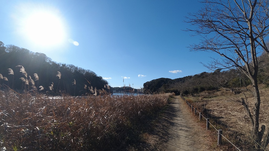 f:id:odango_kazoku:20210103064540j:plain