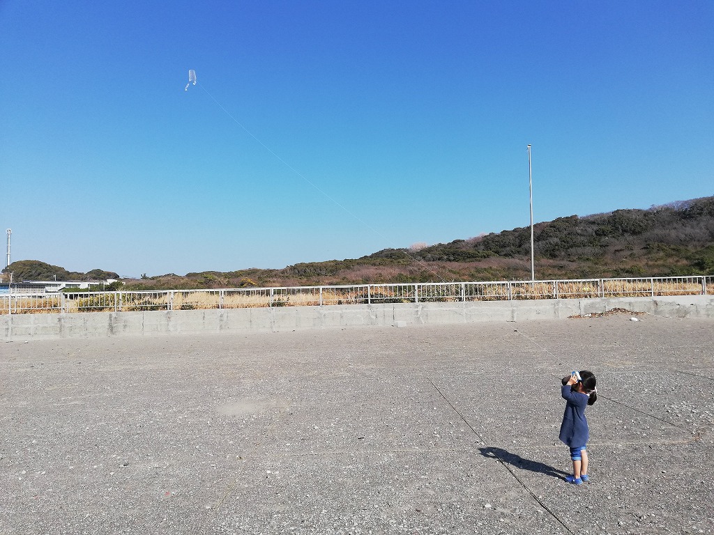 f:id:odango_kazoku:20210209174849j:plain