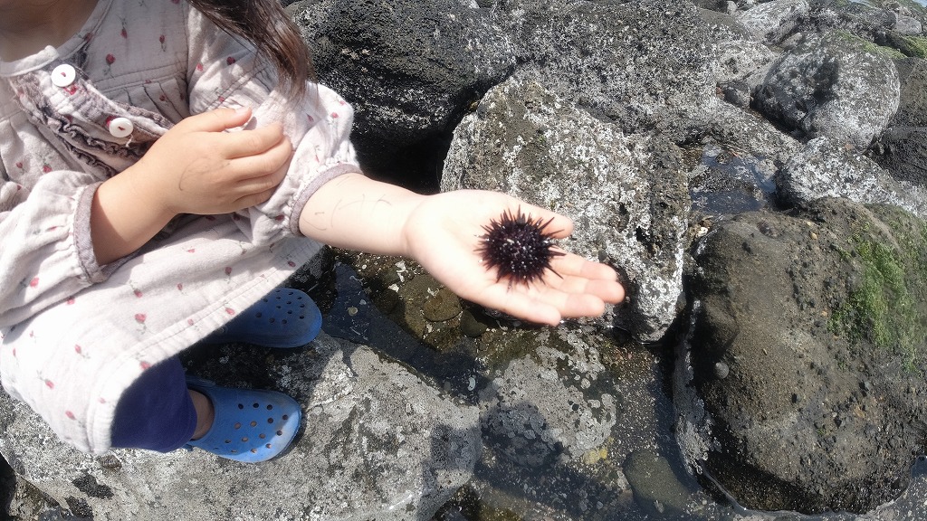 f:id:odango_kazoku:20210502053725j:plain