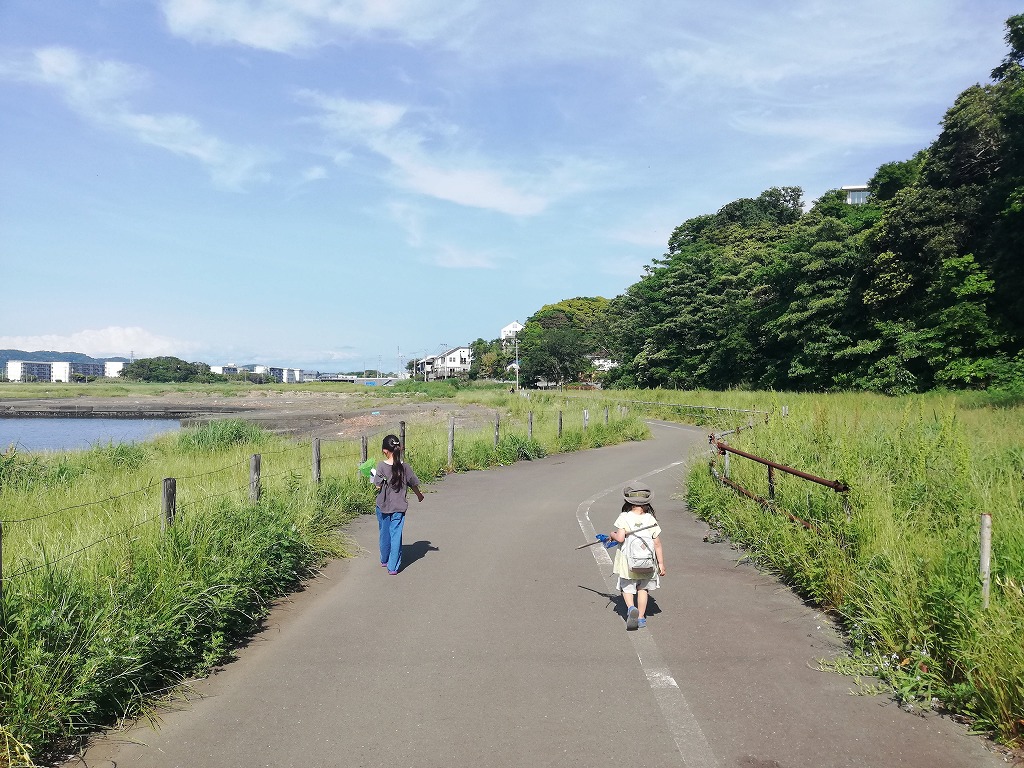 f:id:odango_kazoku:20210520173040j:plain