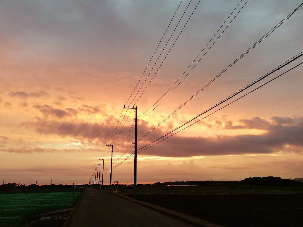 f:id:odango_kazoku:20210622205404j:plain