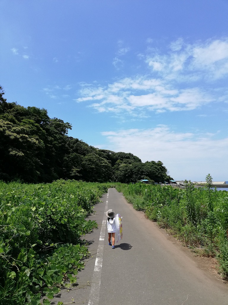 f:id:odango_kazoku:20210805192302j:plain