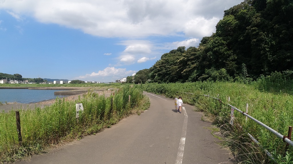 f:id:odango_kazoku:20210805192455j:plain