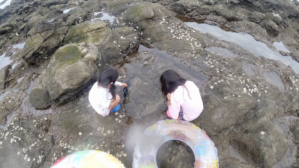 f:id:odango_kazoku:20210822175836j:plain