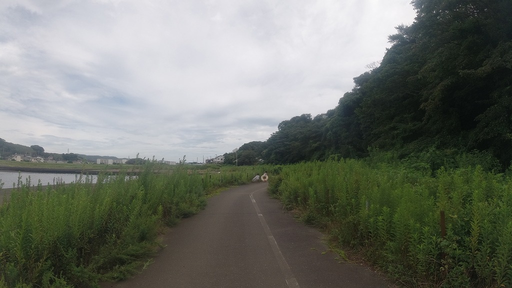 f:id:odango_kazoku:20210822175854j:plain