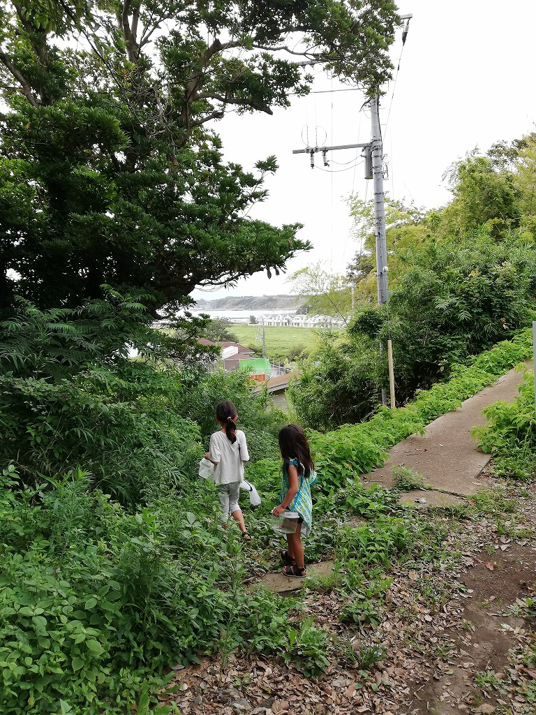 f:id:odango_kazoku:20210822181207j:plain