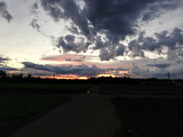 f:id:odango_kazoku:20211021055257j:image f:id:odango_kazoku:20211021055257j:image