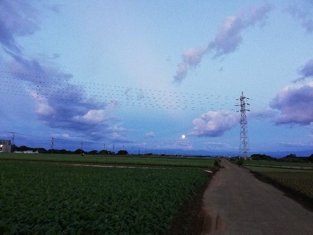 f:id:odango_kazoku:20211021055330j:image f:id:odango_kazoku:20211021055330j:image