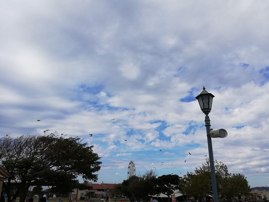 f:id:odango_kazoku:20211121170245j:plain
