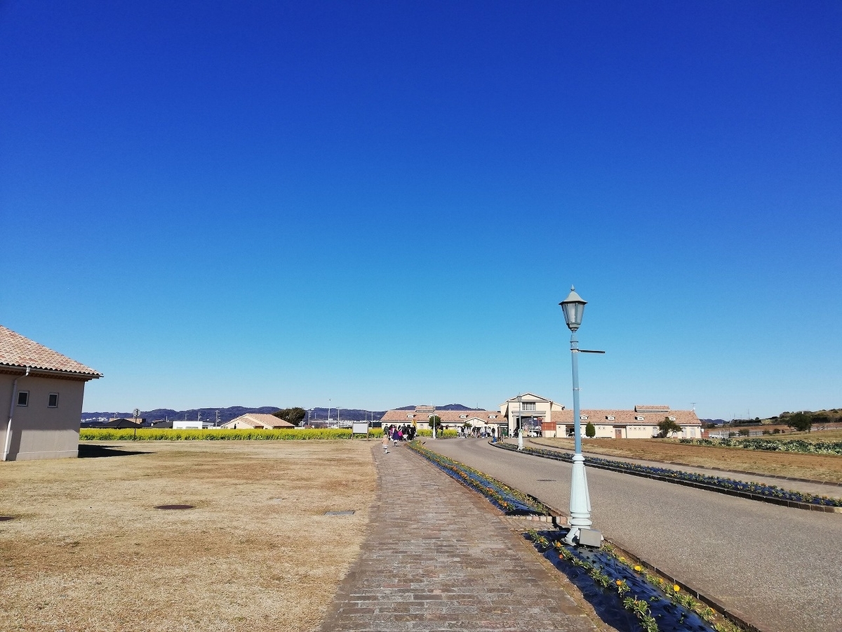 f:id:odango_kazoku:20220101181533j:plain