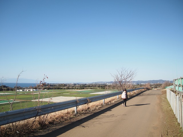 f:id:odango_kazoku:20220103060759j:plain