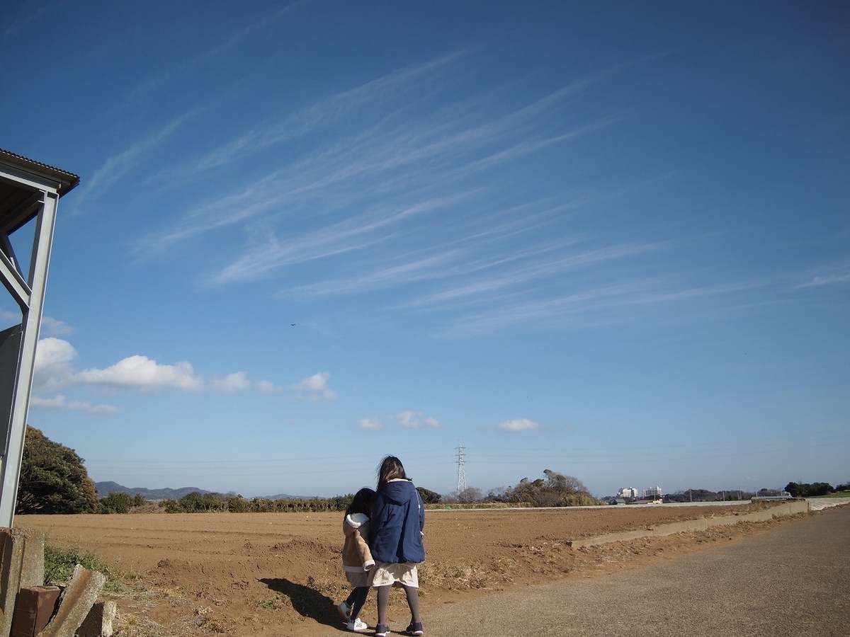 f:id:odango_kazoku:20220122184002j:plain
