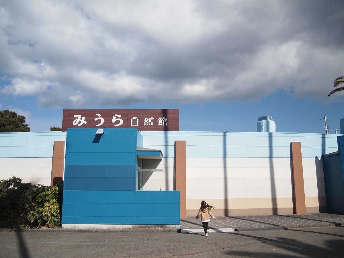 f:id:odango_kazoku:20220206174250j:plain