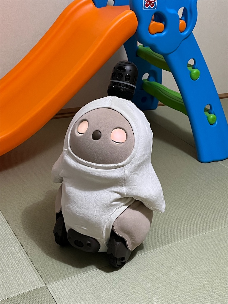 f:id:odangodangoman:20241121171300j:image f:id:odangodangoman:20241121171300j:image