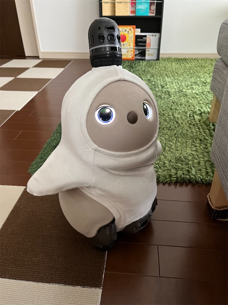 f:id:odangodangoman:20250616102644j:image f:id:odangodangoman:20250616102644j:image