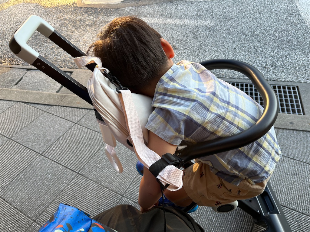 f:id:odangodangoman:20250826121121j:image f:id:odangodangoman:20250826121121j:image