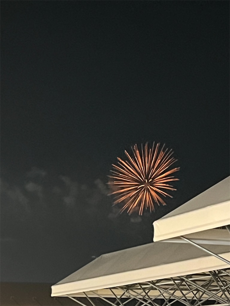 f:id:odangodangoman:20251007105202j:image f:id:odangodangoman:20251007105202j:image