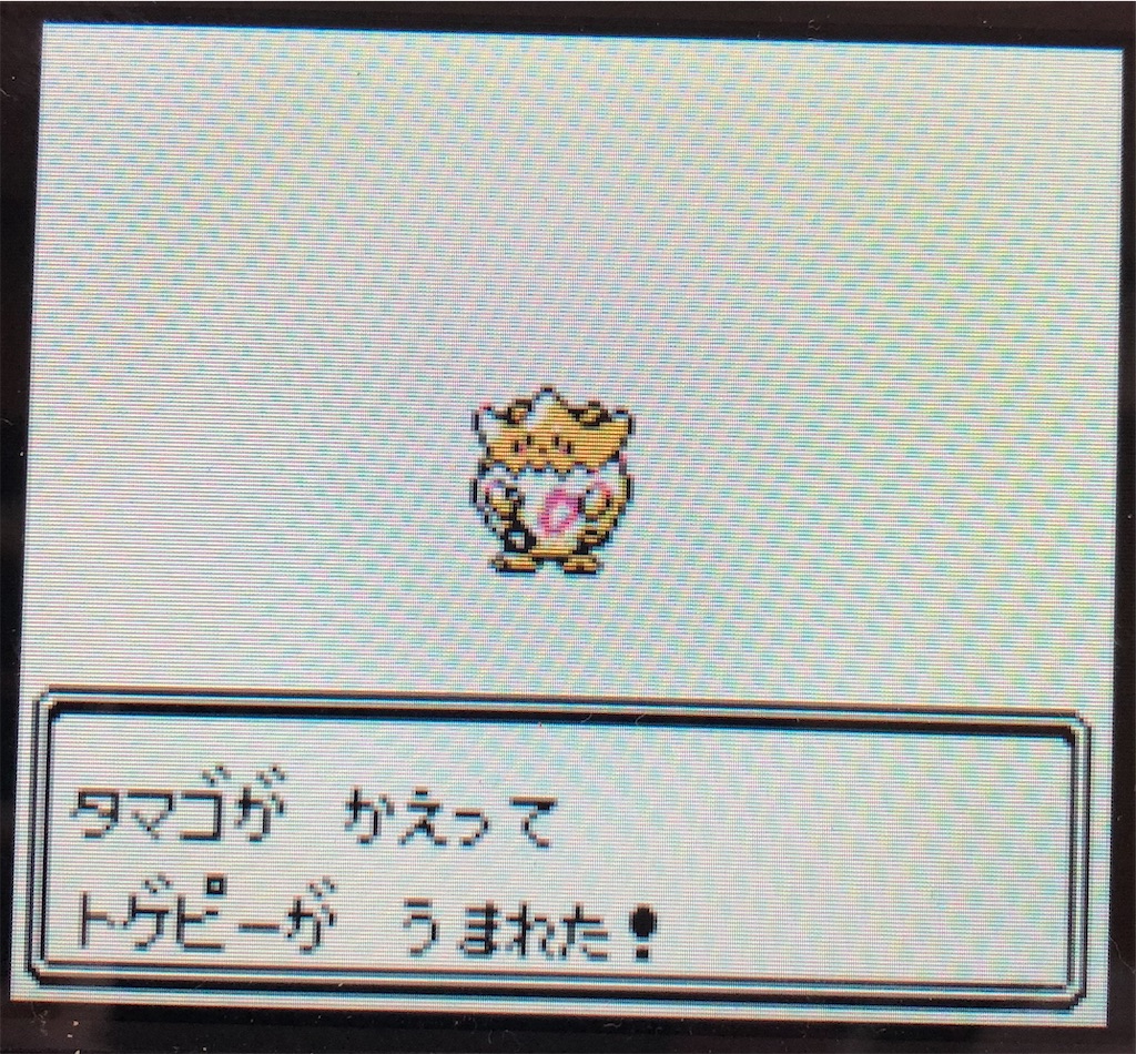 ポケモンクリスタルプレイ日記 #5 コガネ観光 - お団子ゲームの旅路