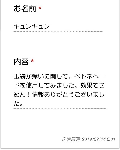 f:id:odanoura:20190316015137j:plain