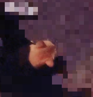 f:id:odanoura:20190818103226j:plain