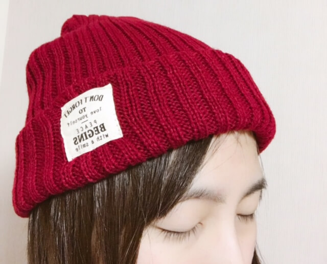 f:id:odaruka:20161114182724j:plain