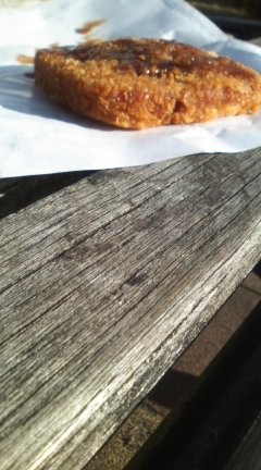 f:id:odasagamen:20101211134112j:image