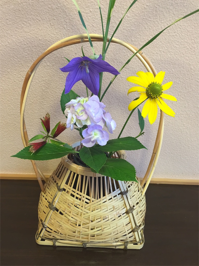 f:id:odayakabiyori:20160707202309j:image f:id:odayakabiyori:20160707202309j:image