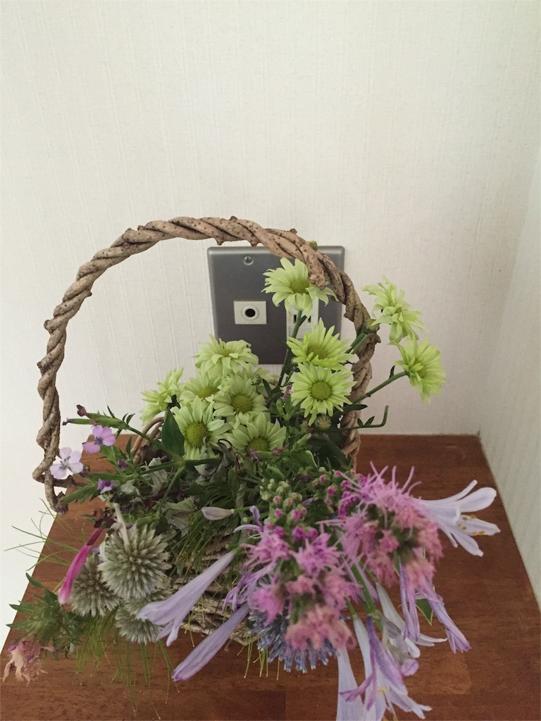 f:id:odayakabiyori:20160712093339j:image f:id:odayakabiyori:20160712093339j:image