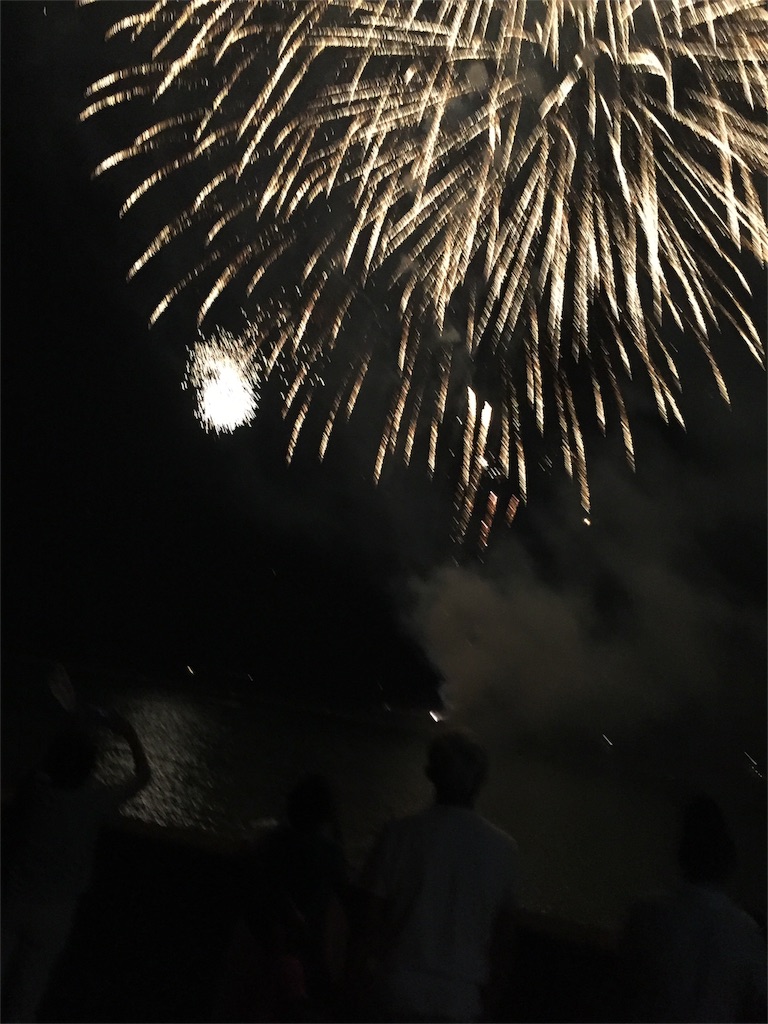 f:id:odayakabiyori:20160815105402j:image f:id:odayakabiyori:20160815105402j:image