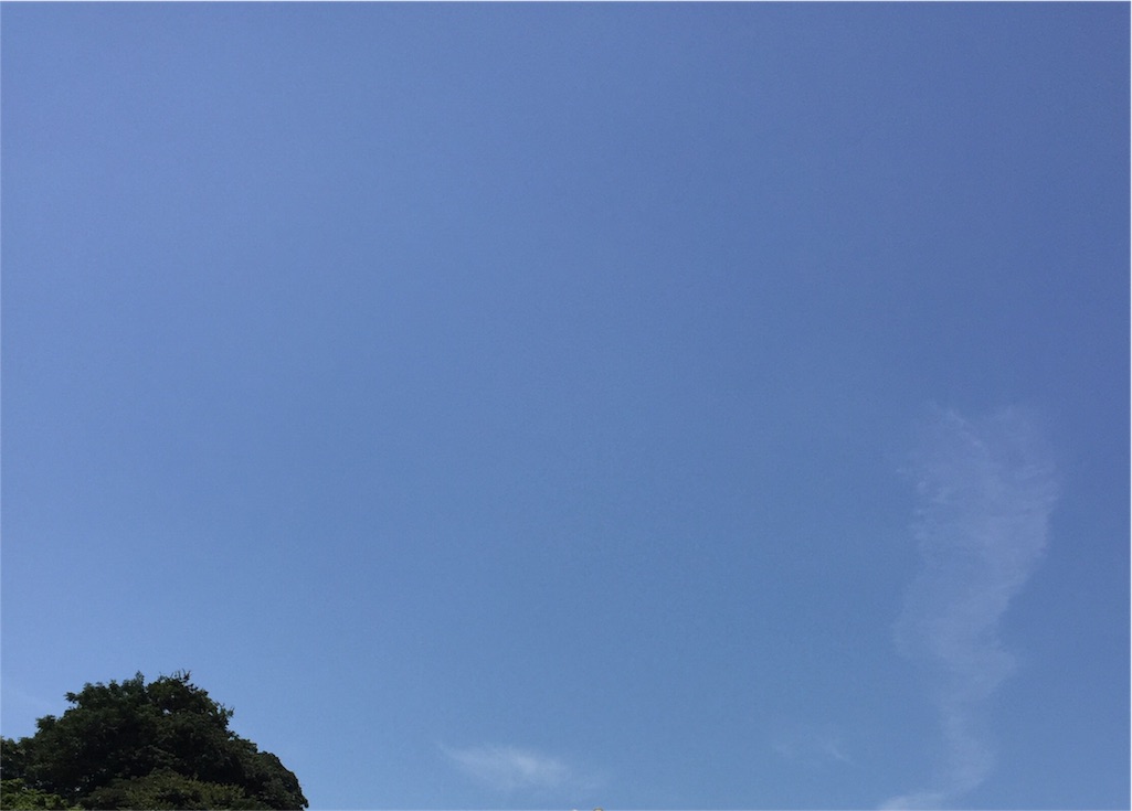 f:id:odayakabiyori:20160827211631j:image f:id:odayakabiyori:20160827211631j:image