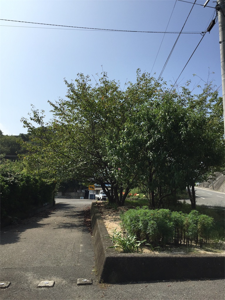 f:id:odayakabiyori:20161003191310j:image f:id:odayakabiyori:20161003191310j:image