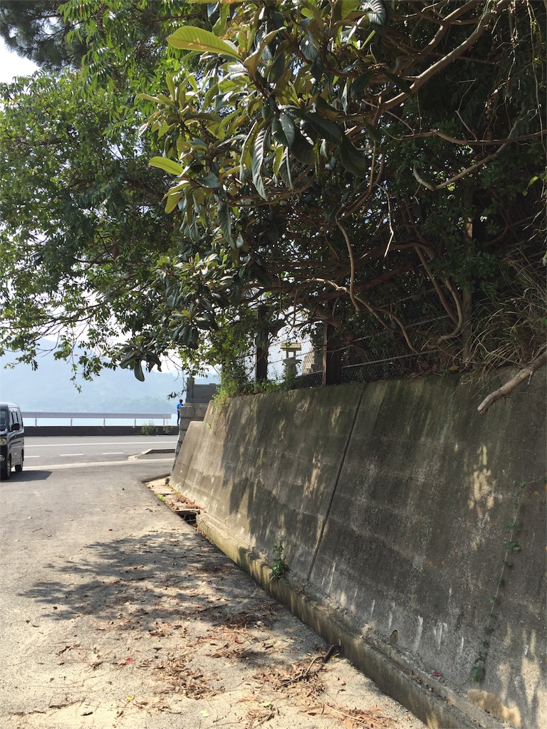 f:id:odayakabiyori:20161003192457j:image f:id:odayakabiyori:20161003192457j:image