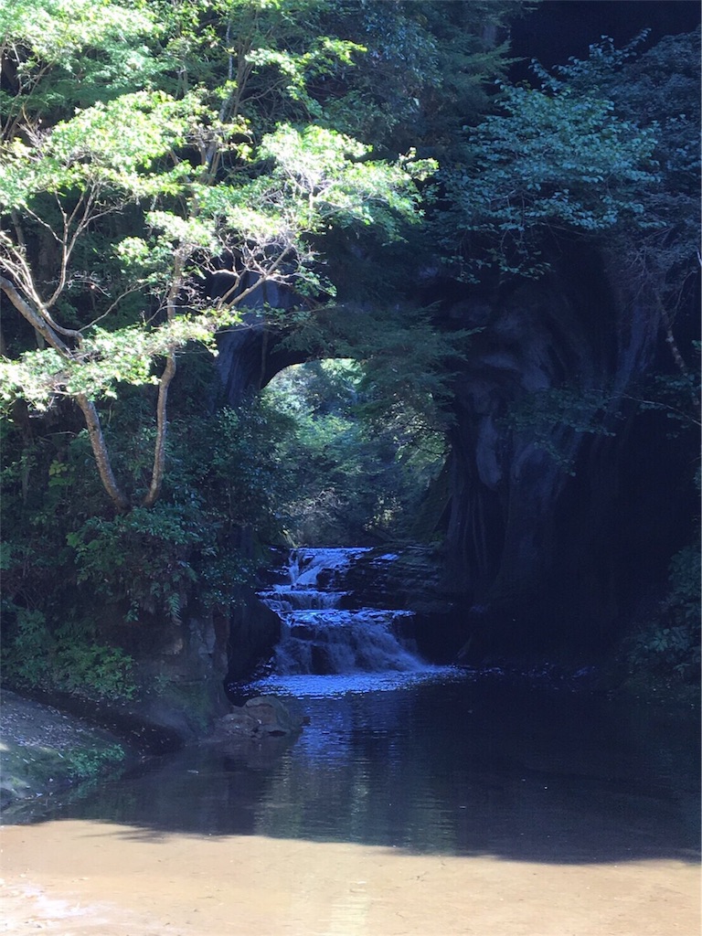 f:id:odayakabiyori:20161118140603j:image f:id:odayakabiyori:20161118140603j:image