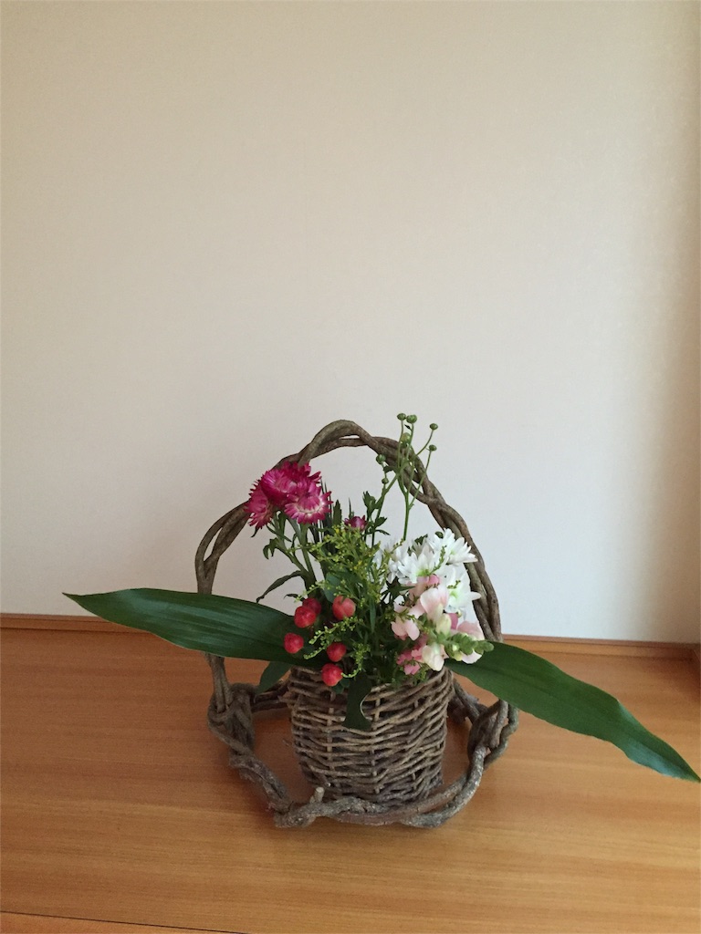 f:id:odayakabiyori:20161208095357j:image f:id:odayakabiyori:20161208095357j:image