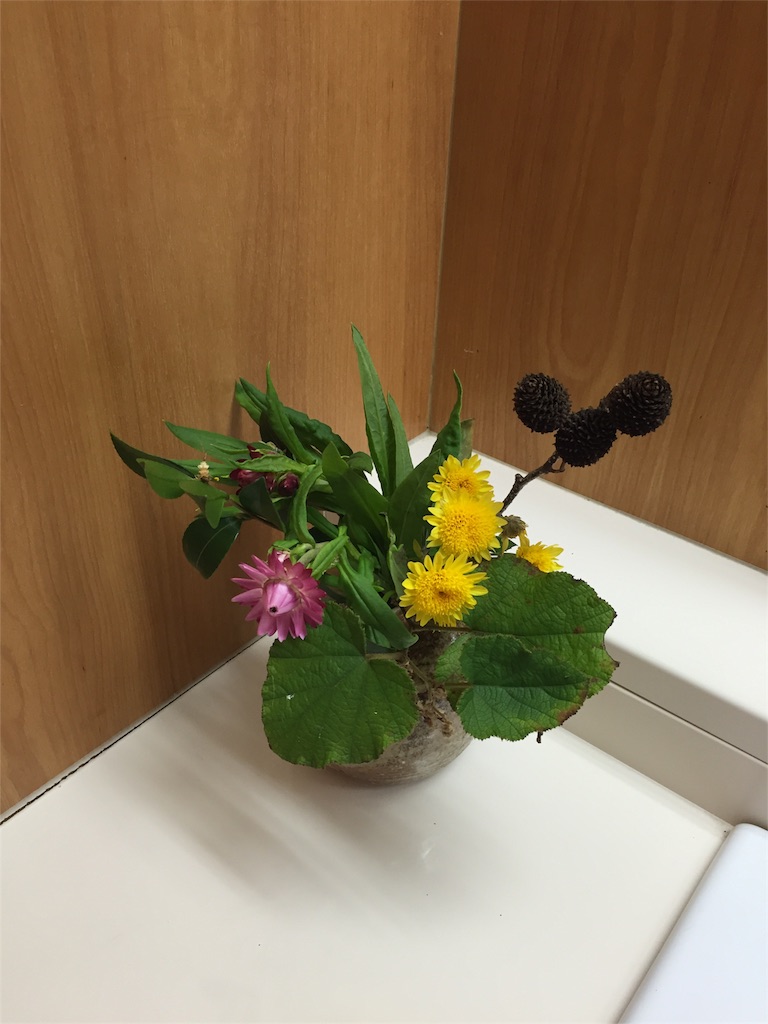 f:id:odayakabiyori:20161208095428j:image f:id:odayakabiyori:20161208095428j:image