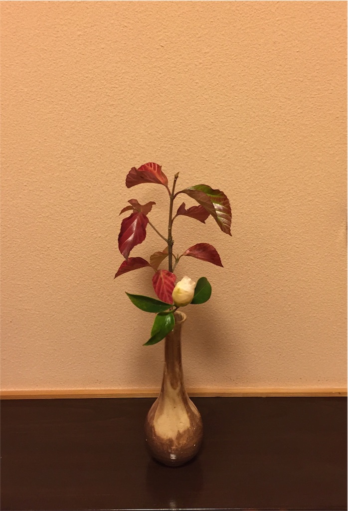 f:id:odayakabiyori:20161214185026j:image f:id:odayakabiyori:20161214185026j:image