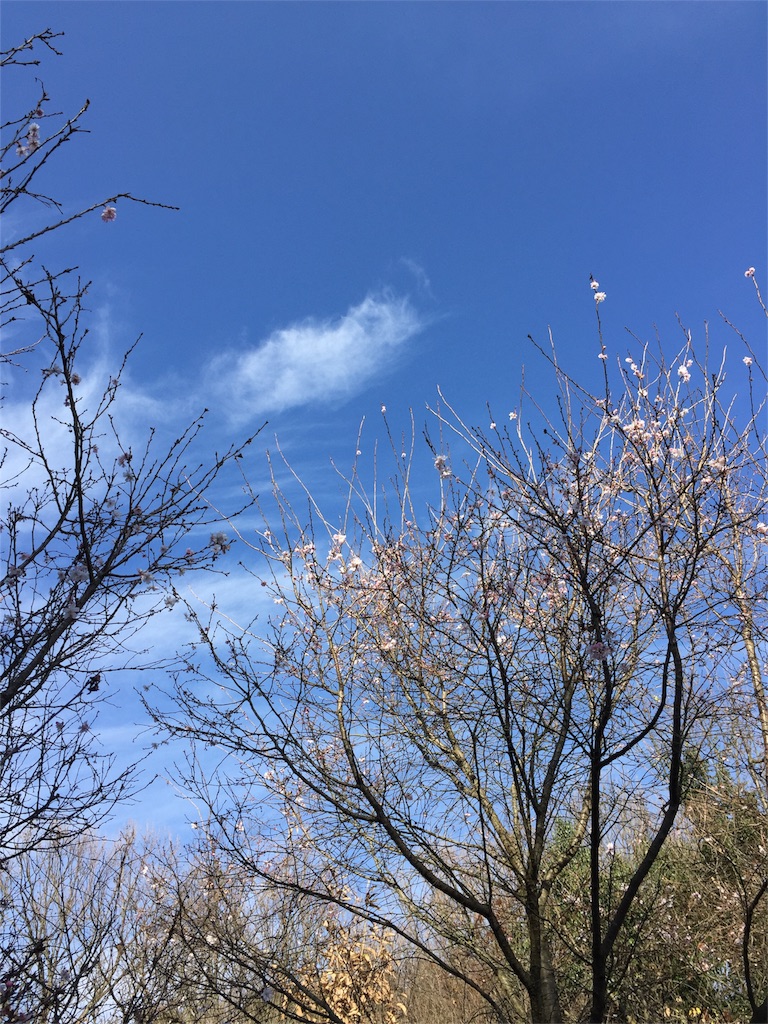 f:id:odayakabiyori:20170101212037j:image f:id:odayakabiyori:20170101212037j:image