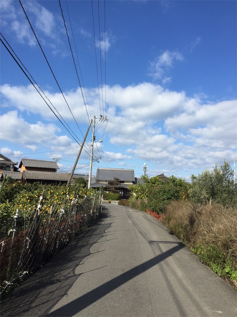 f:id:odayakabiyori:20170103145546j:image f:id:odayakabiyori:20170103145546j:image