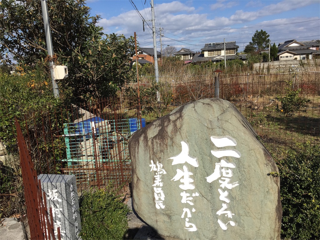 f:id:odayakabiyori:20170103185709j:image f:id:odayakabiyori:20170103185709j:image