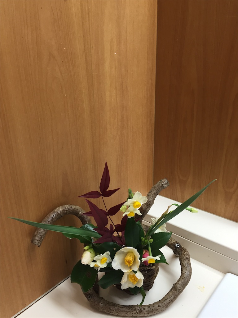 f:id:odayakabiyori:20170126134043j:image f:id:odayakabiyori:20170126134043j:image
