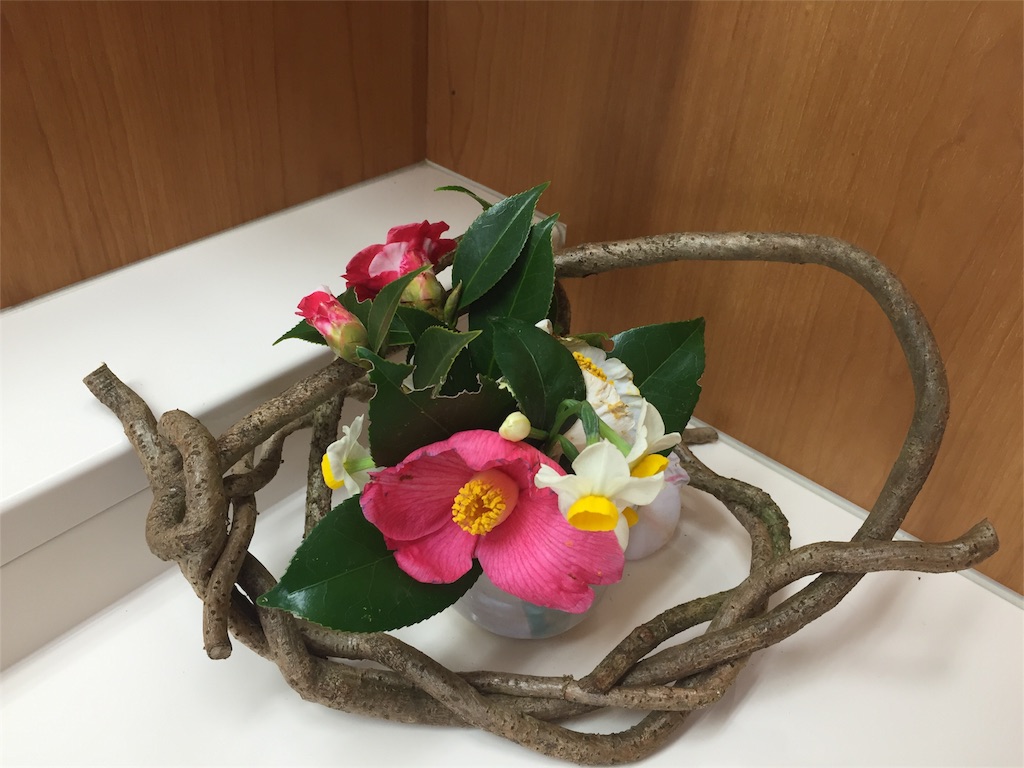 f:id:odayakabiyori:20170209140621j:image f:id:odayakabiyori:20170209140621j:image