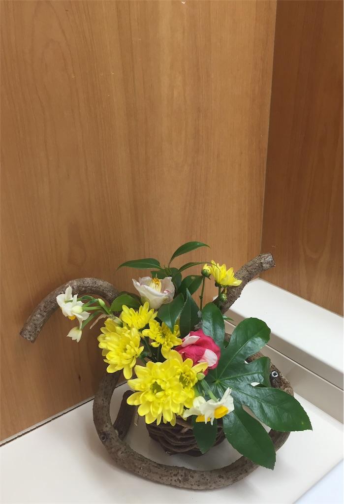 f:id:odayakabiyori:20170216141240j:image f:id:odayakabiyori:20170216141240j:image